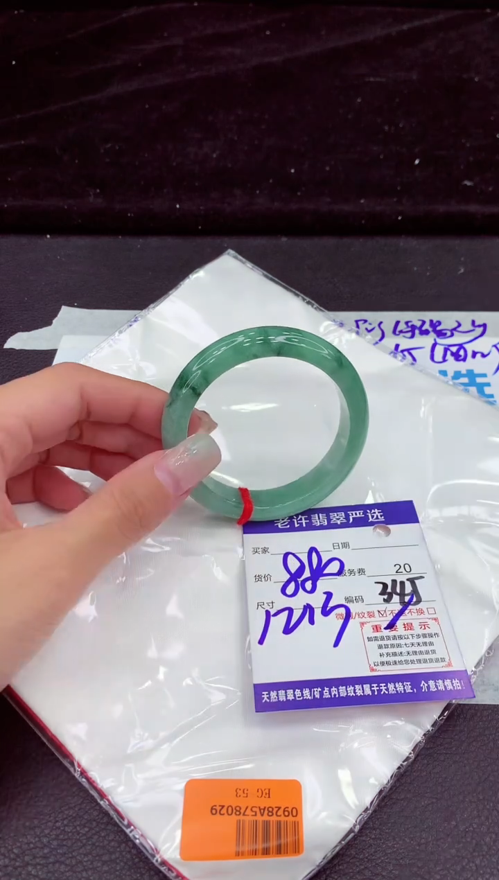 未镶嵌手镯翡翠1