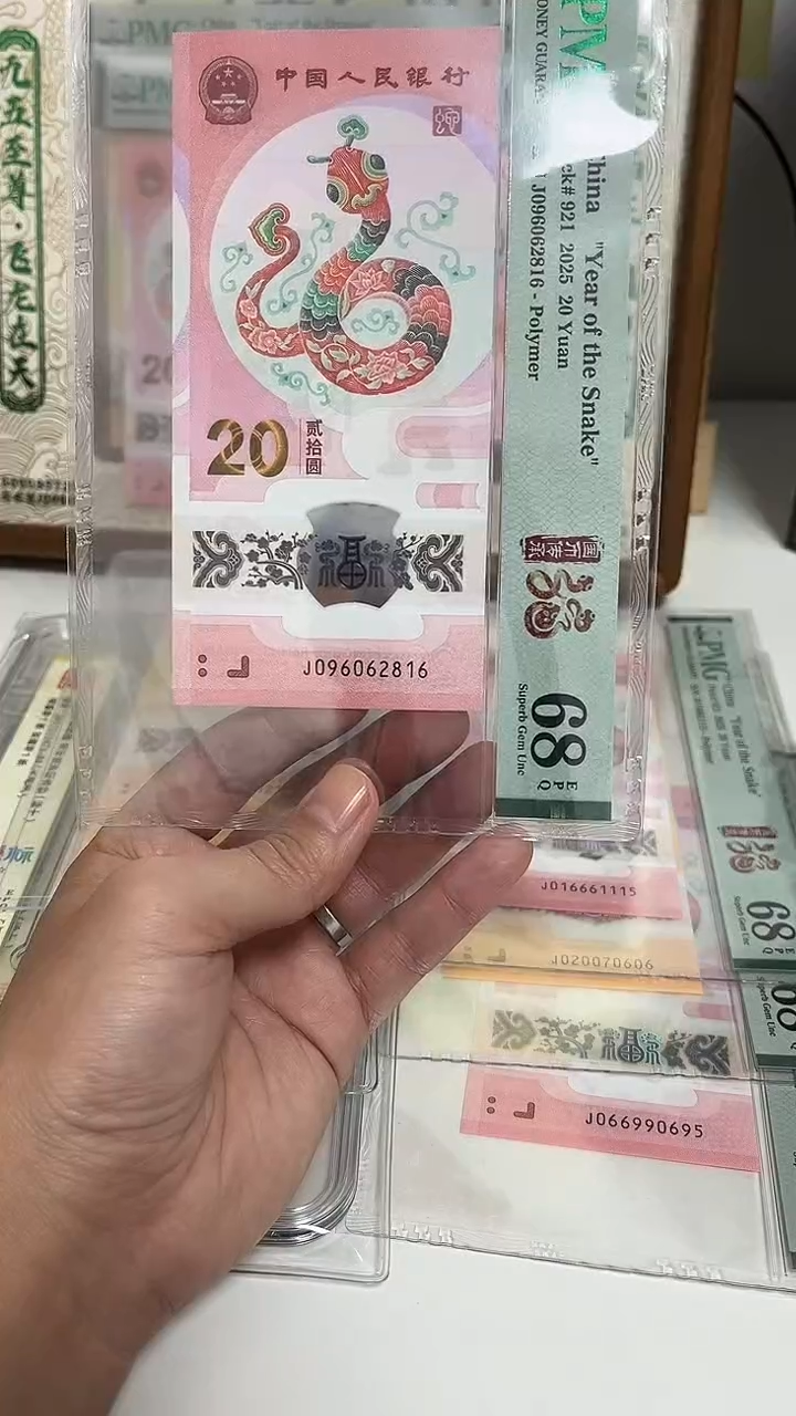 塑料蛇钞朦胧号-096062816