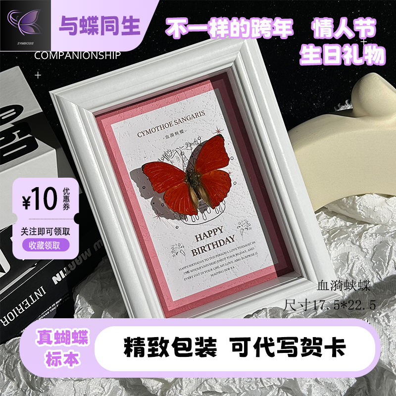 血漪蛱蝶真蝴蝶标本情人节生日男女朋友创意礼物客厅家居装饰摆件