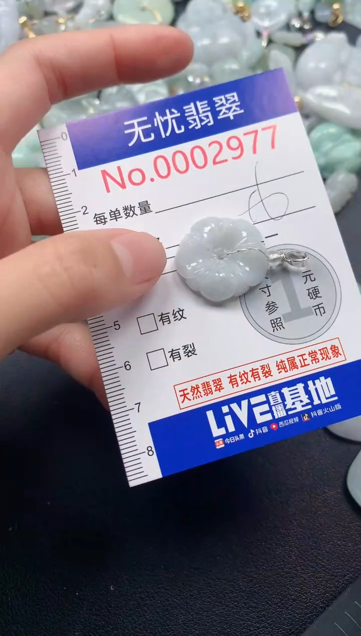 颈饰未镶嵌翡翠2977
