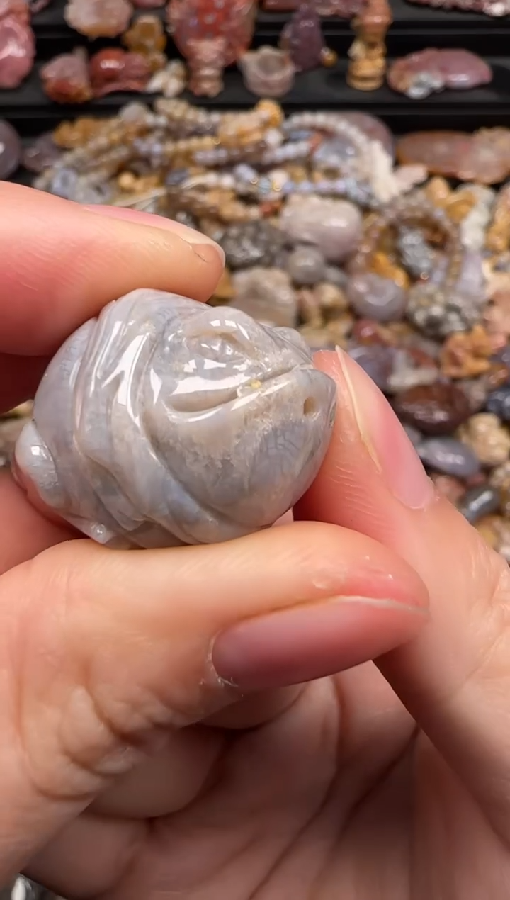硅化珊瑚（珊瑚玉）未镶嵌颈饰306