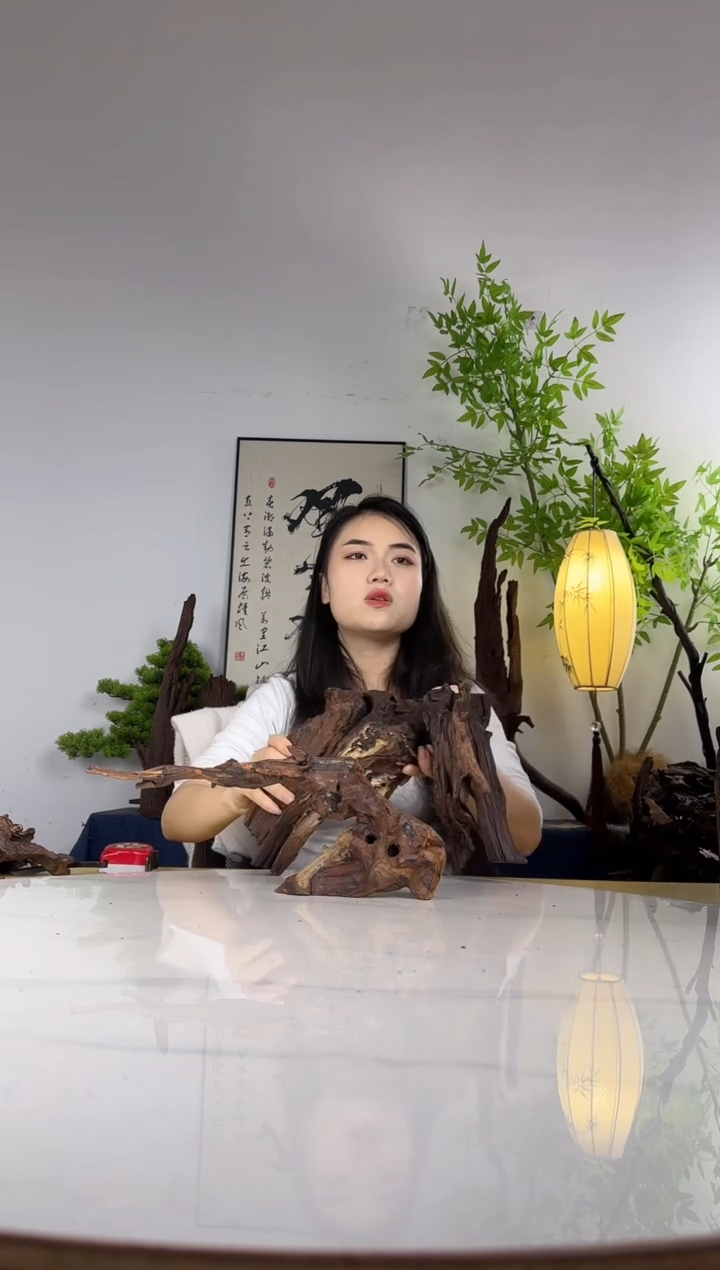 望*拍这个定向编号15