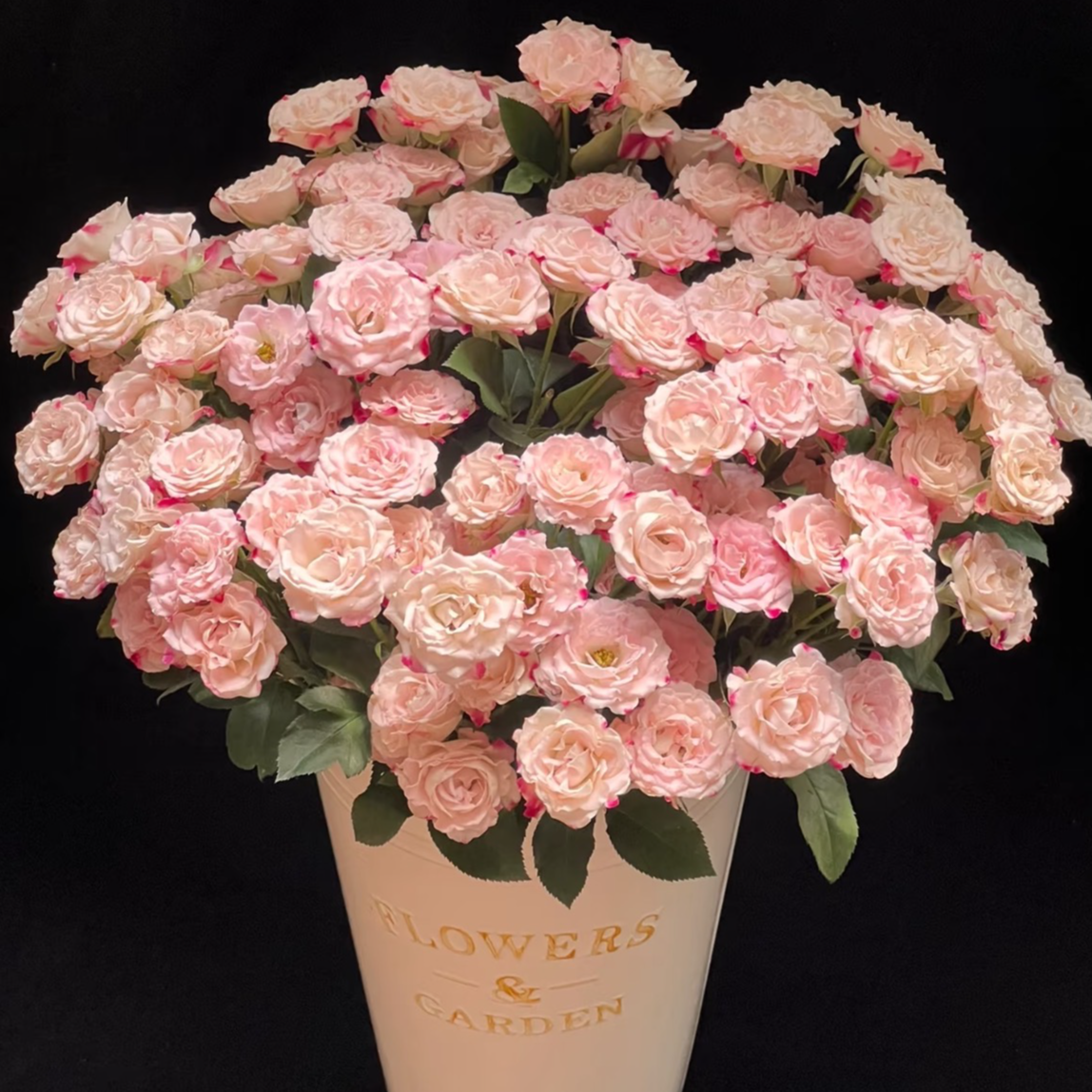 （高品质玫瑰）多头折射云南基地直发