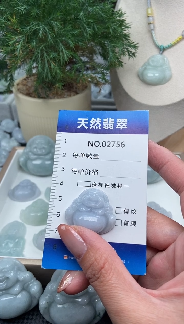 颈饰未镶嵌翡翠纯天然A货翡翠2756