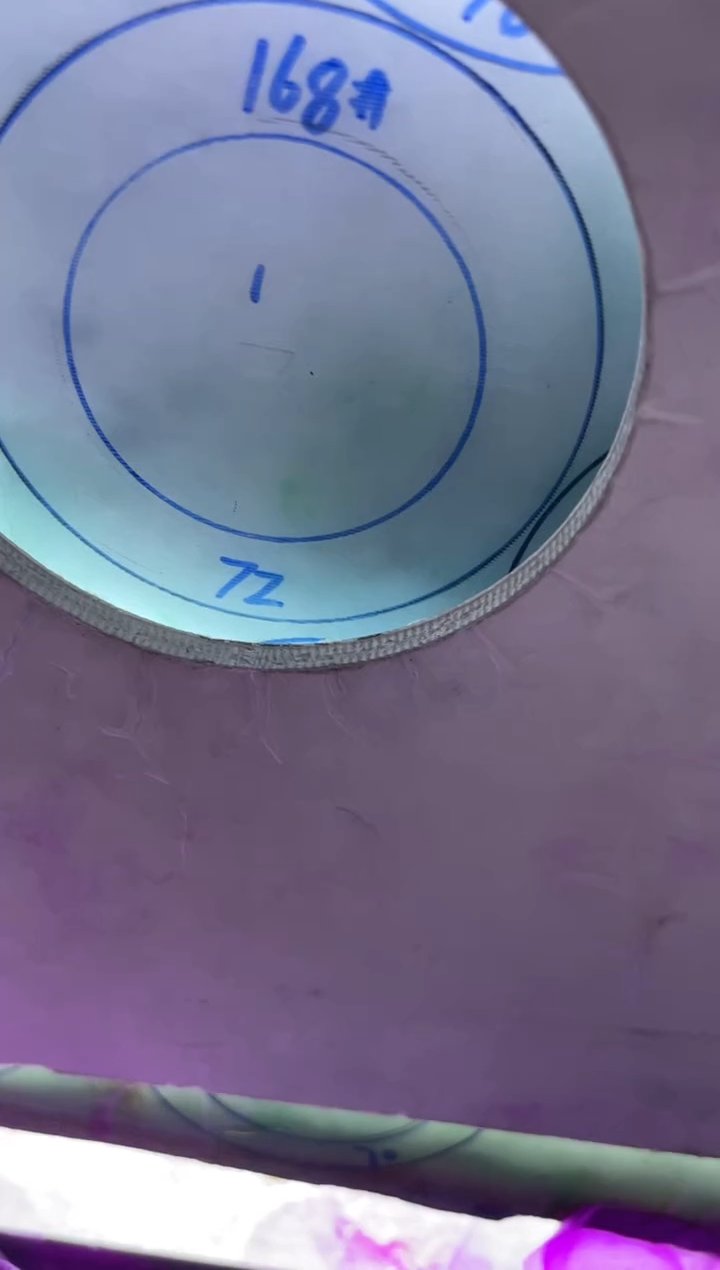 【闪购商品】定制翡翠手镯未镶嵌定制手镯GB2-1/DZS