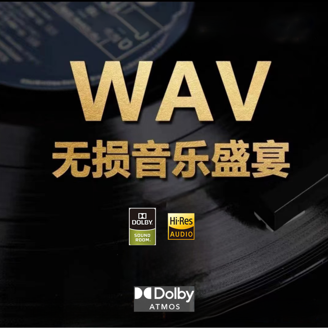 2025全新WAV黑胶唱片无损黑胶CDHI-FI音效抖音热歌流行DJ经典怀旧