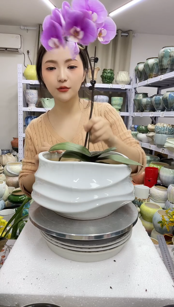 12.30陶瓷花盆直播链接高.  14    口21