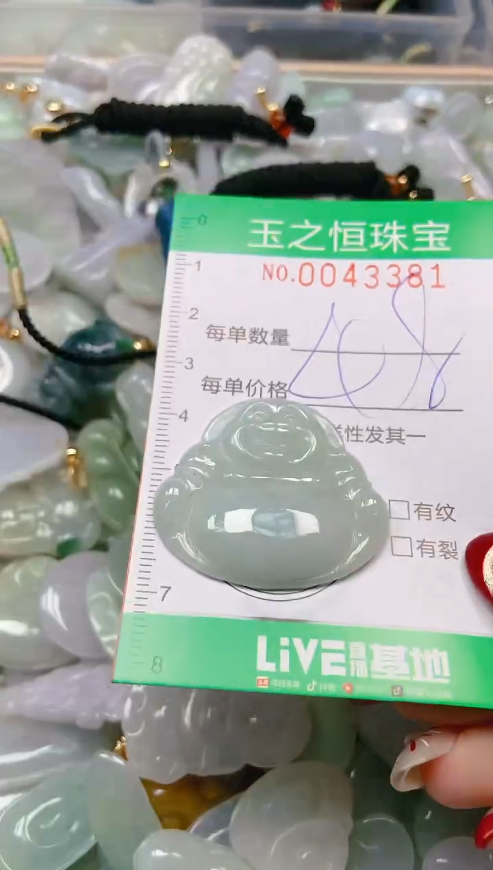 【闪购商品】翡翠颈饰未镶嵌闪购0043381