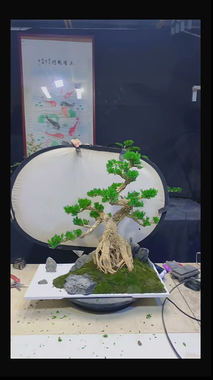 无花朵光**月1111111111111
