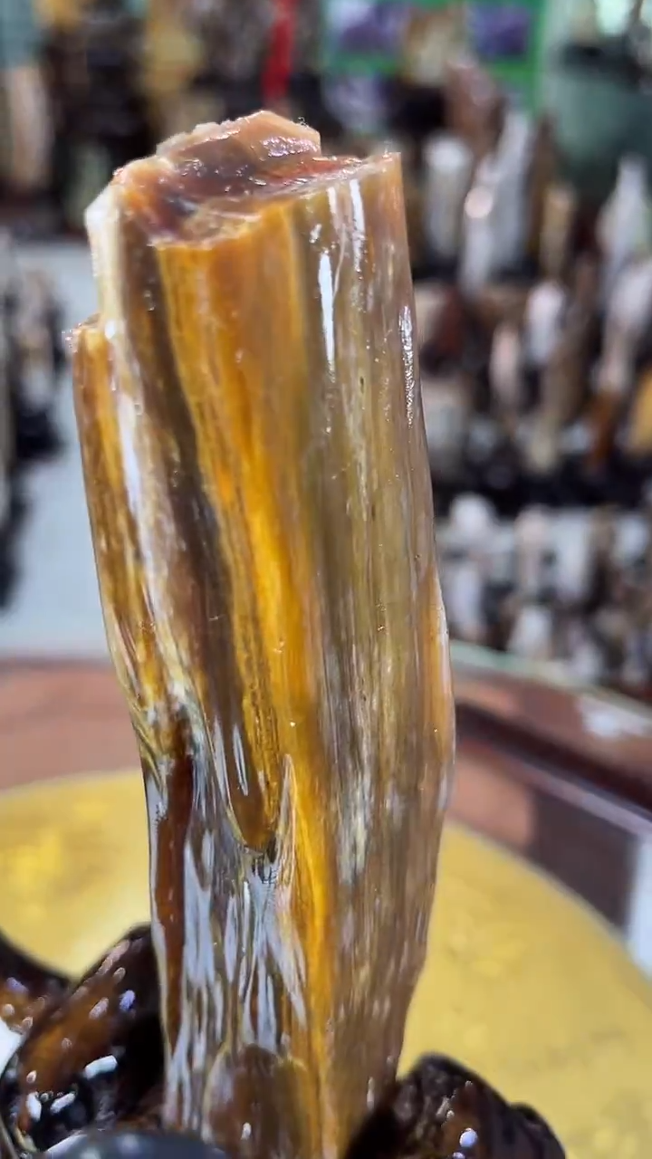 未镶嵌珠宝奇石硅化玉缅甸天然树化玉摆件