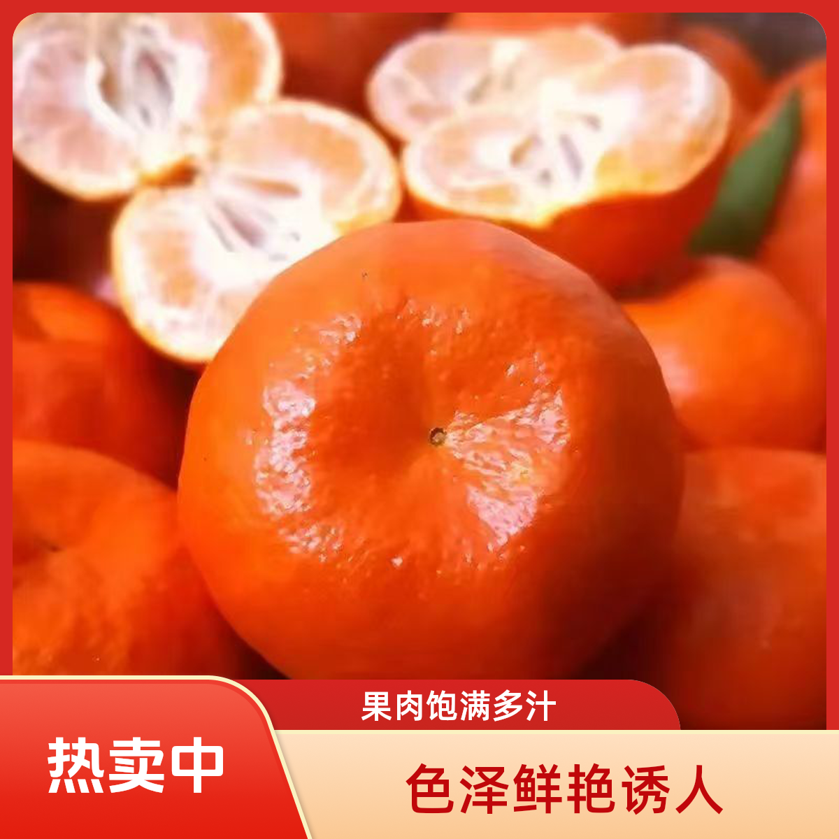 万州古红桔四川特产川红橘红桔酸甜爽口陈皮桔新鲜水果现摘现发
