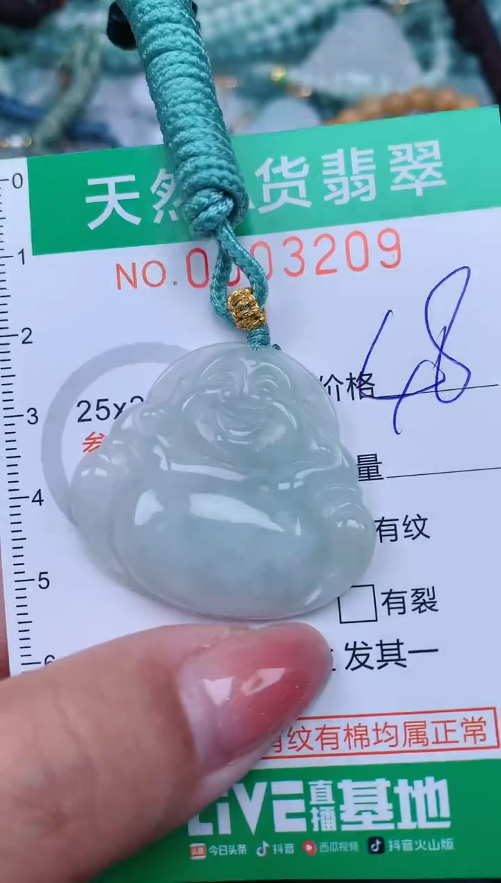 【闪购商品】翡翠颈饰未镶嵌.0003209