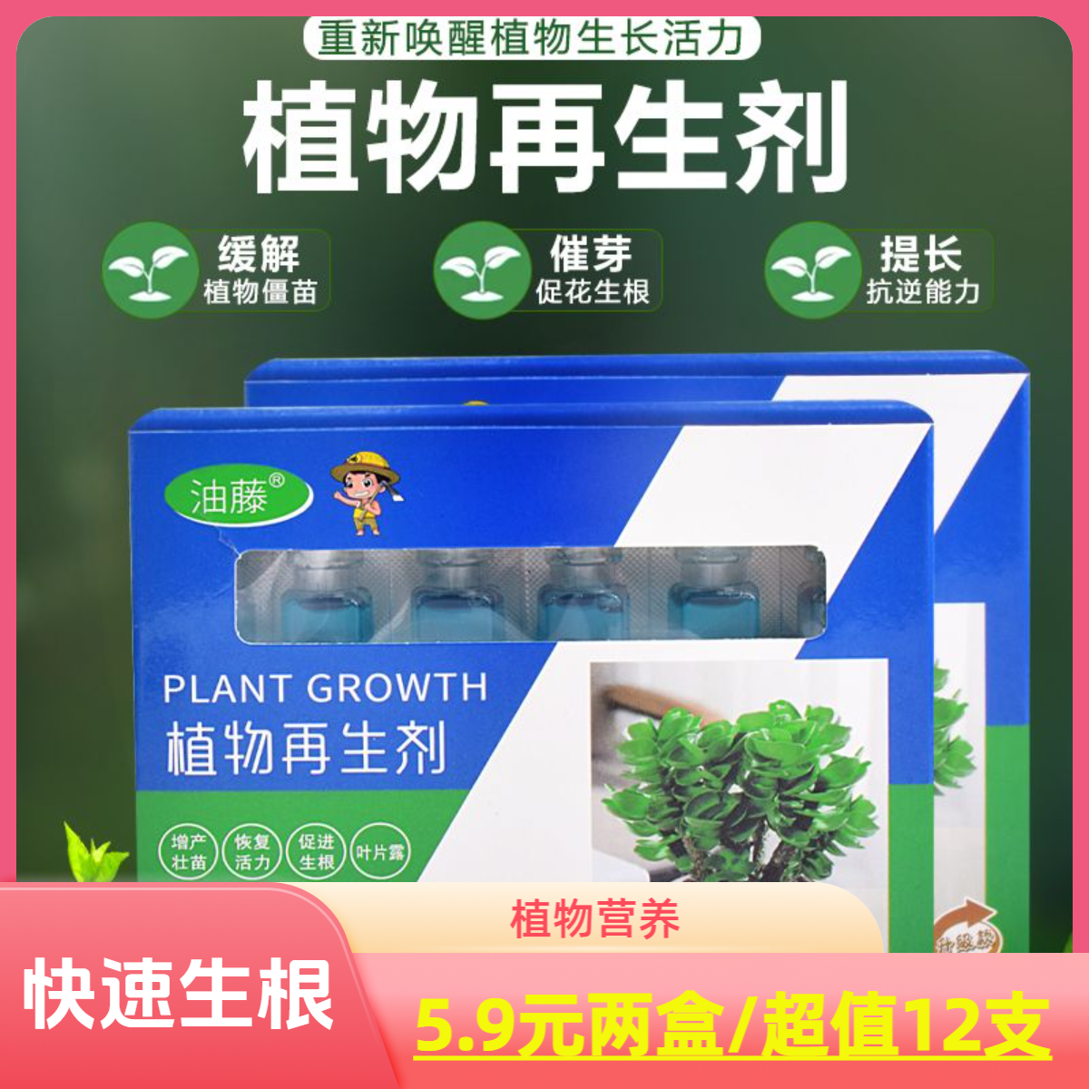 植物再生剂通用型浓缩营养液绿植花卉盆栽家庭园艺肥料水溶肥料
