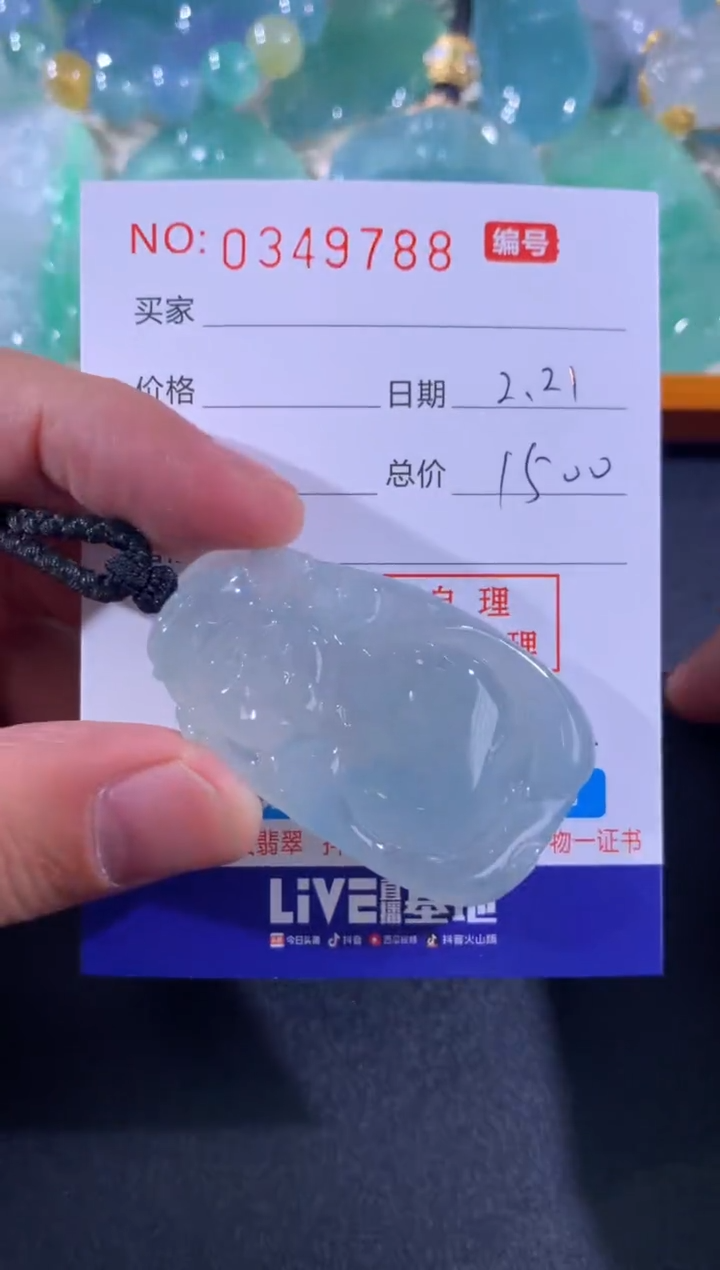 【闪购商品】翡翠颈饰未镶嵌天然A货翡翠