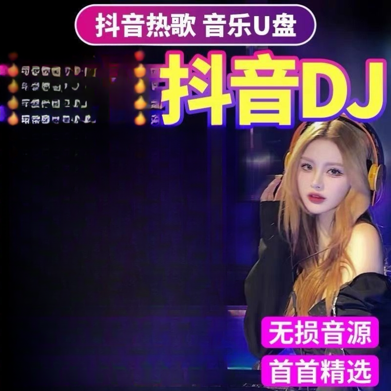 2025抖音火爆歌曲DJ优盘热门流行中文DJ榜单无损音乐车载MP3/4U盘