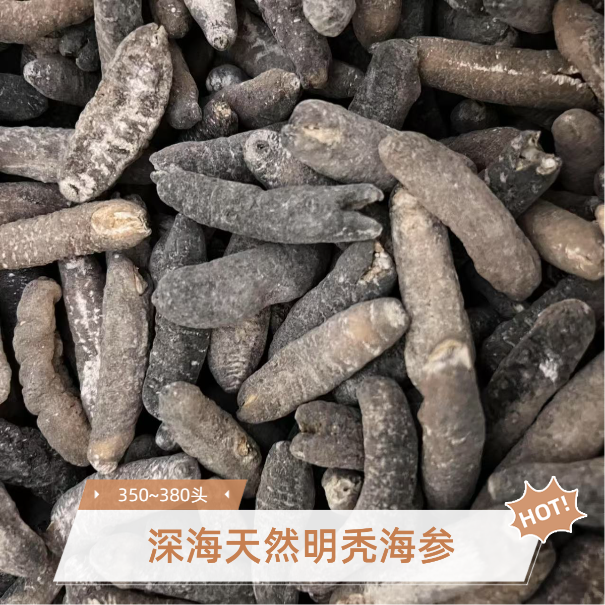 深海天然明秃海参