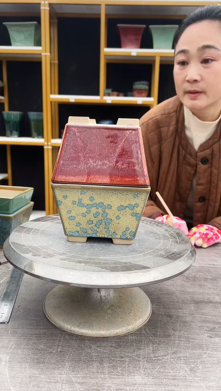 加*鸦58号两盆组合