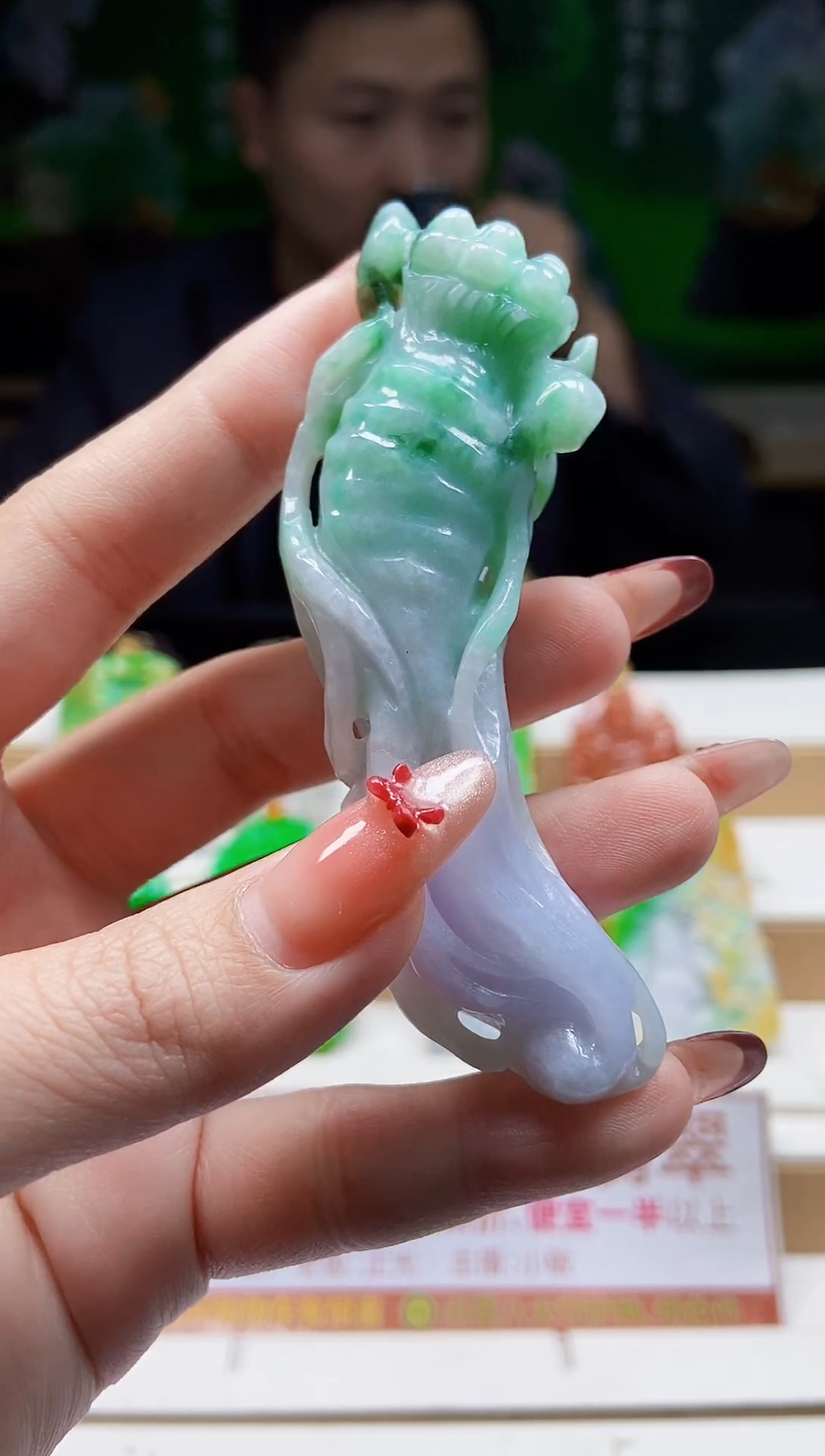 颈饰未镶嵌翡翠翡翠A货