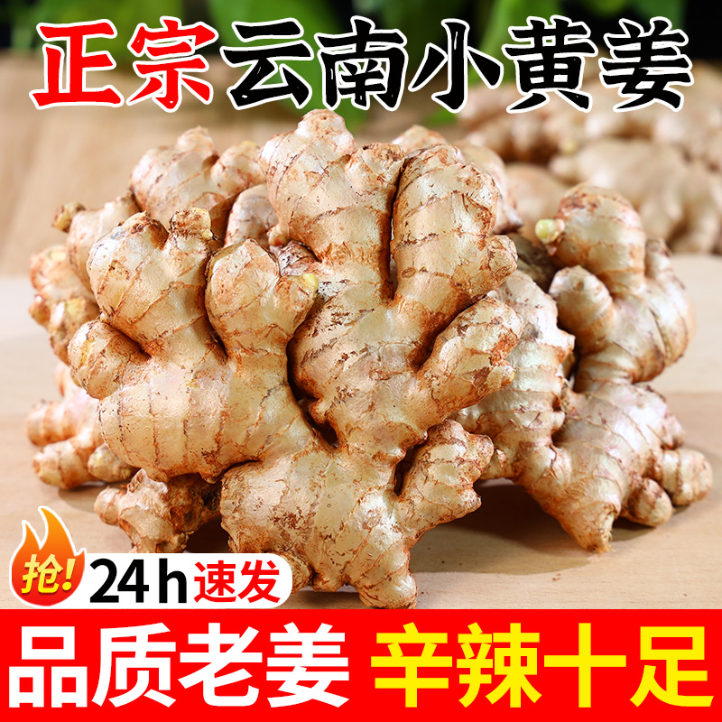 【精选两年老姜】云南小黄姜香味浓郁辛辣够味种植生姜产地直销