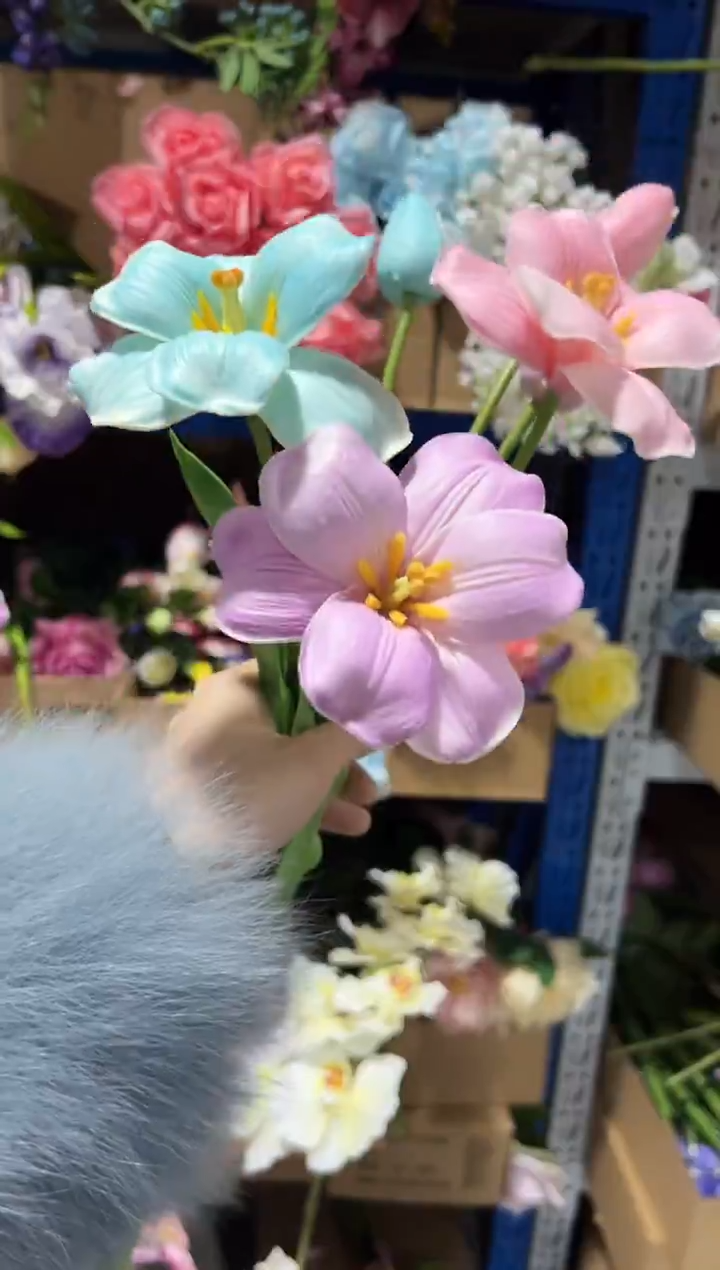 3枝混色2头布朗尼