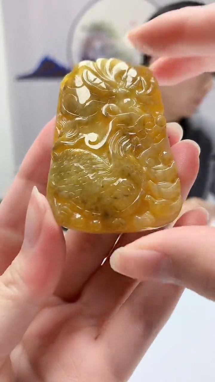 【闪购商品】定制翡翠未镶嵌4917zm-毛货挂件25玄武