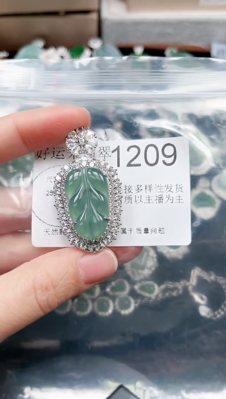 【闪购商品】翡翠颈饰未镶嵌1209赠皮绳