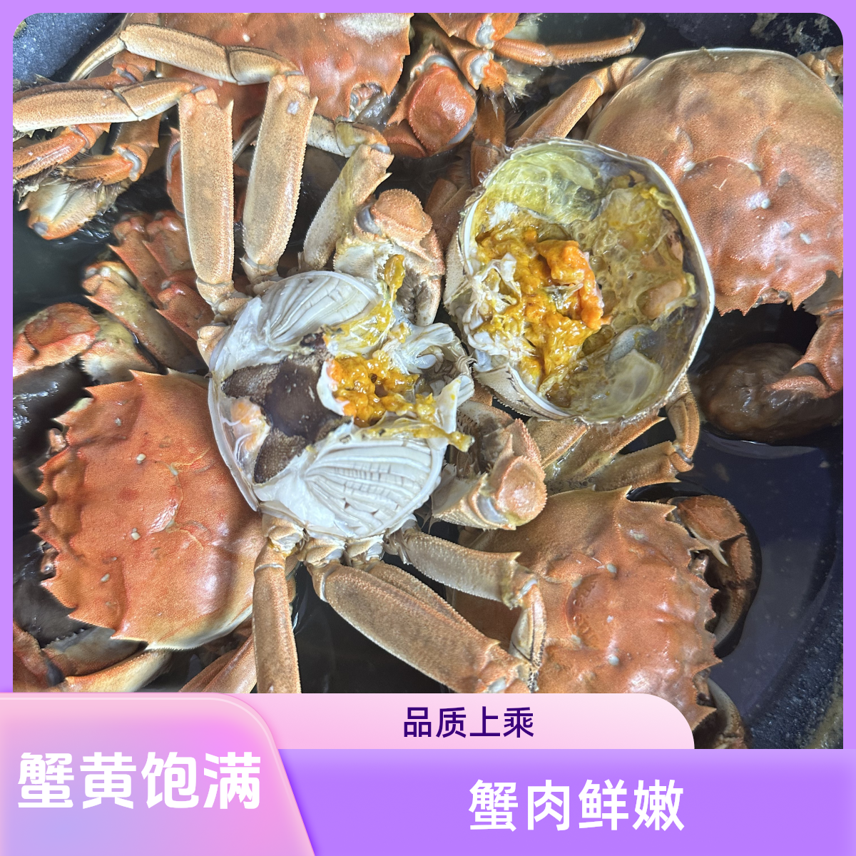 【活蟹】大闸蟹2.5两母/只