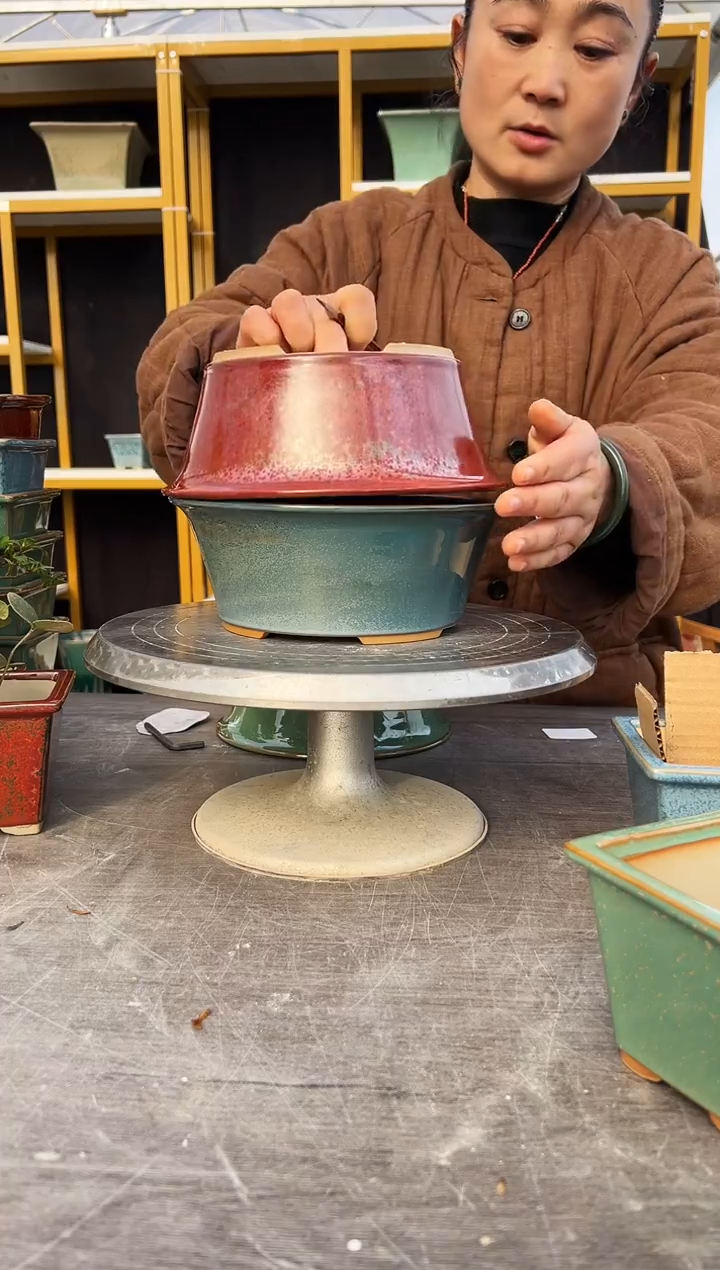 L*L62号两盆微瑕组合