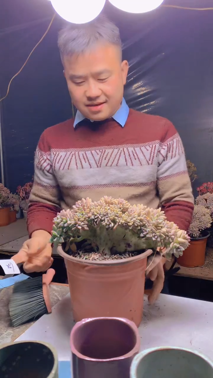 【闪购商品】缀化257