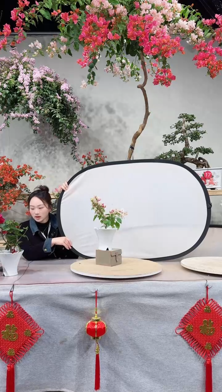 【闪购商品】盆景漳红樱