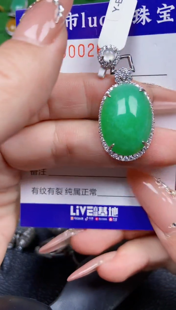 【闪购商品】翡翠颈饰银S925镶嵌0266