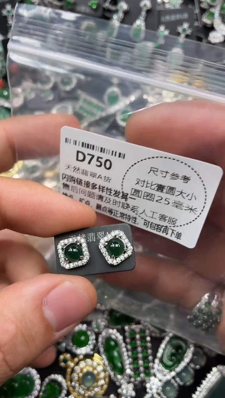颈饰未镶嵌翡翠D750耳钉