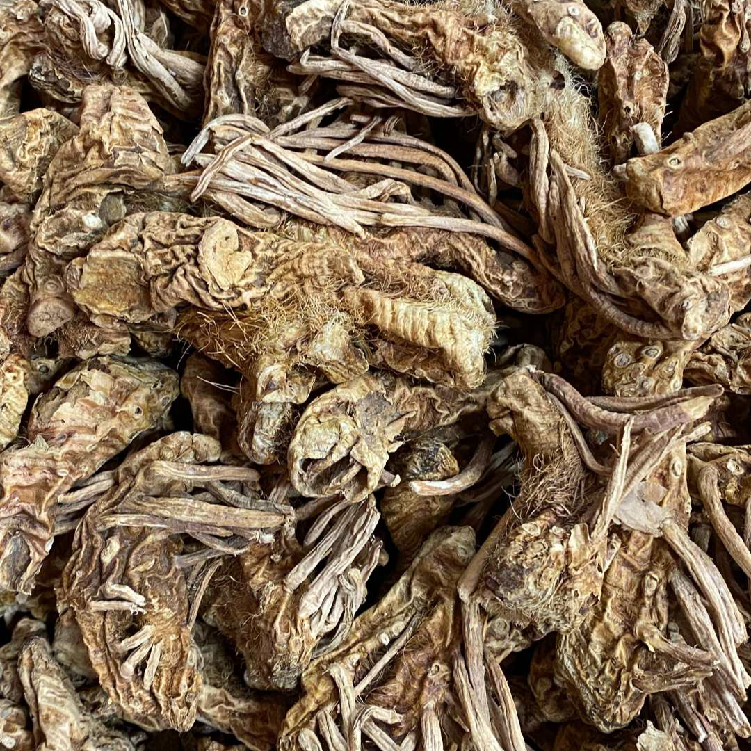 【元旦狂欢购】穿山龙-产品以实物为准