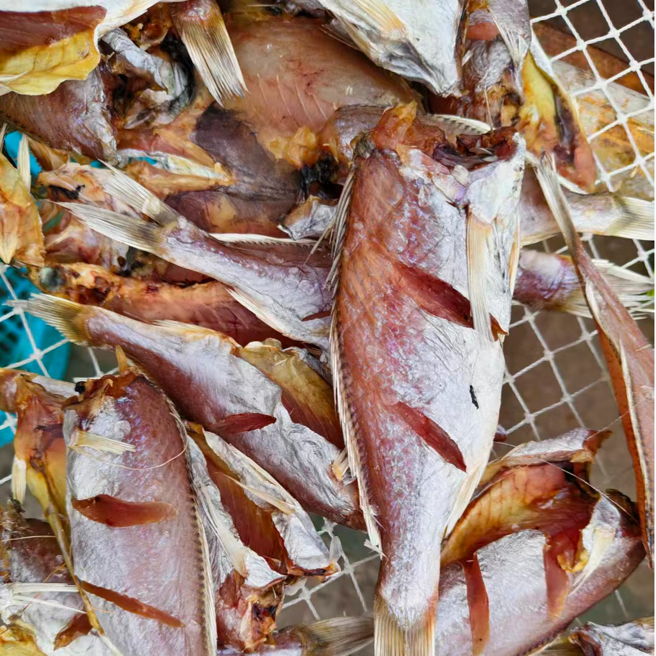 东山码头直发东海野生白梅子鱼干顺丰冷链