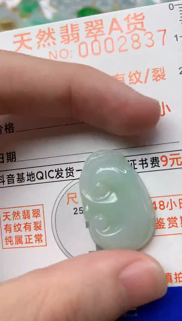 【闪购商品】翡翠颈饰未镶嵌1.............