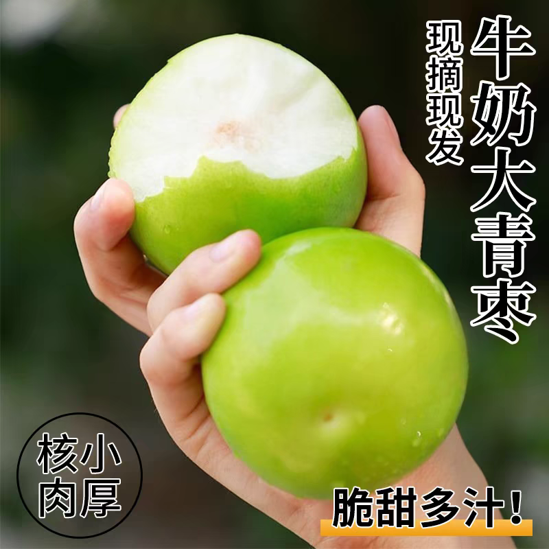 [京东/顺丰包邮到家]大青枣3斤皮薄多汁