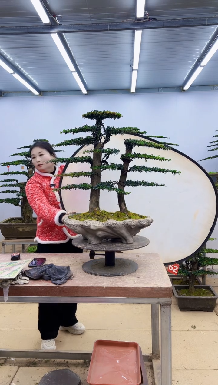 无花朵一物一拍，所见即所得