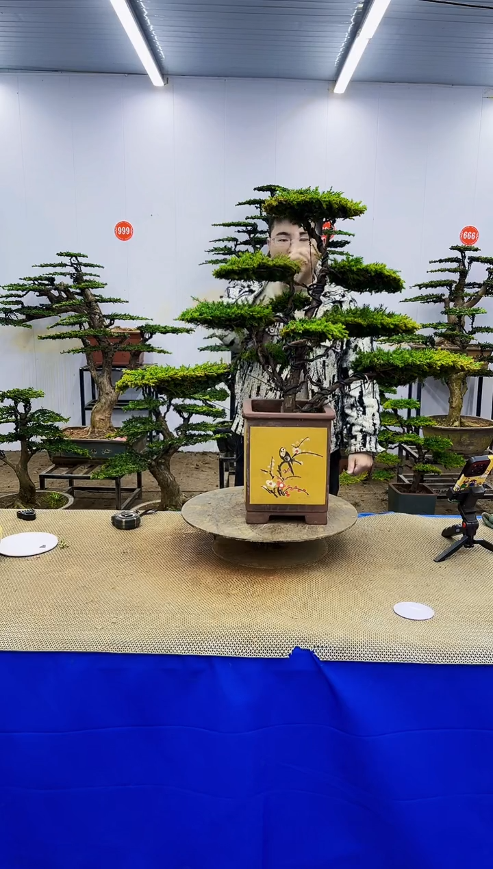 无花朵墨一物一拍，所见即所得