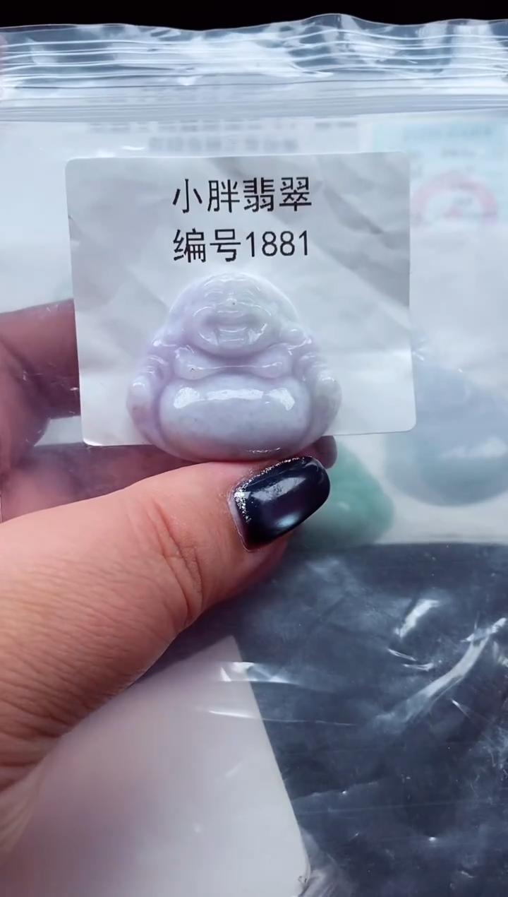 颈饰未镶嵌翡翠缅甸天然A货翡翠1881