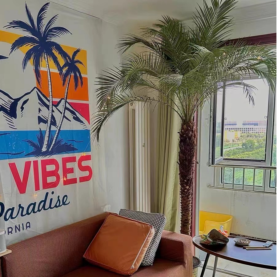 美丽针葵仿真绿植热带植物仿生室内客厅工艺品摆件