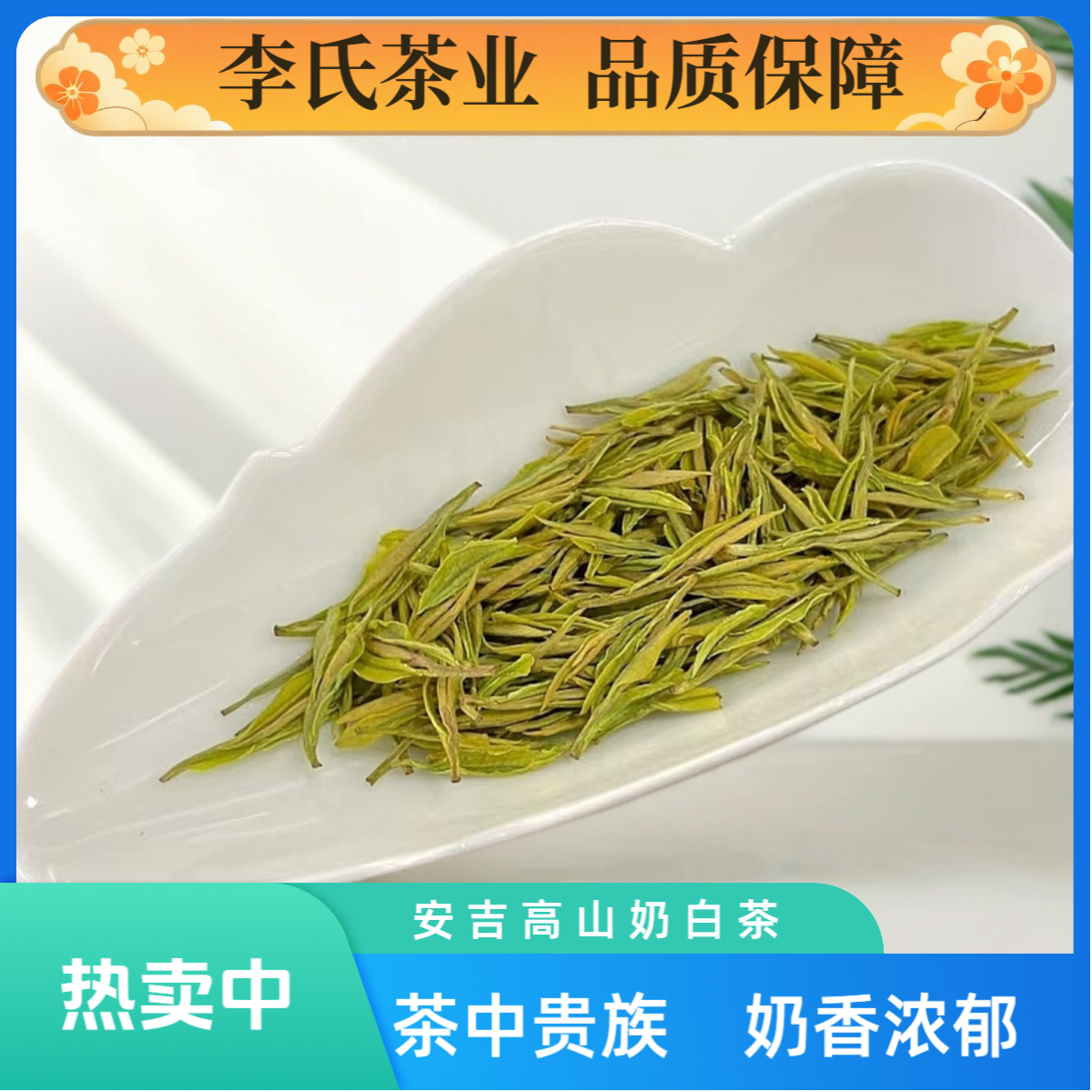 【特惠宠粉款】2025安吉核心产区高山奶白 口粮奶白 奶香味十足