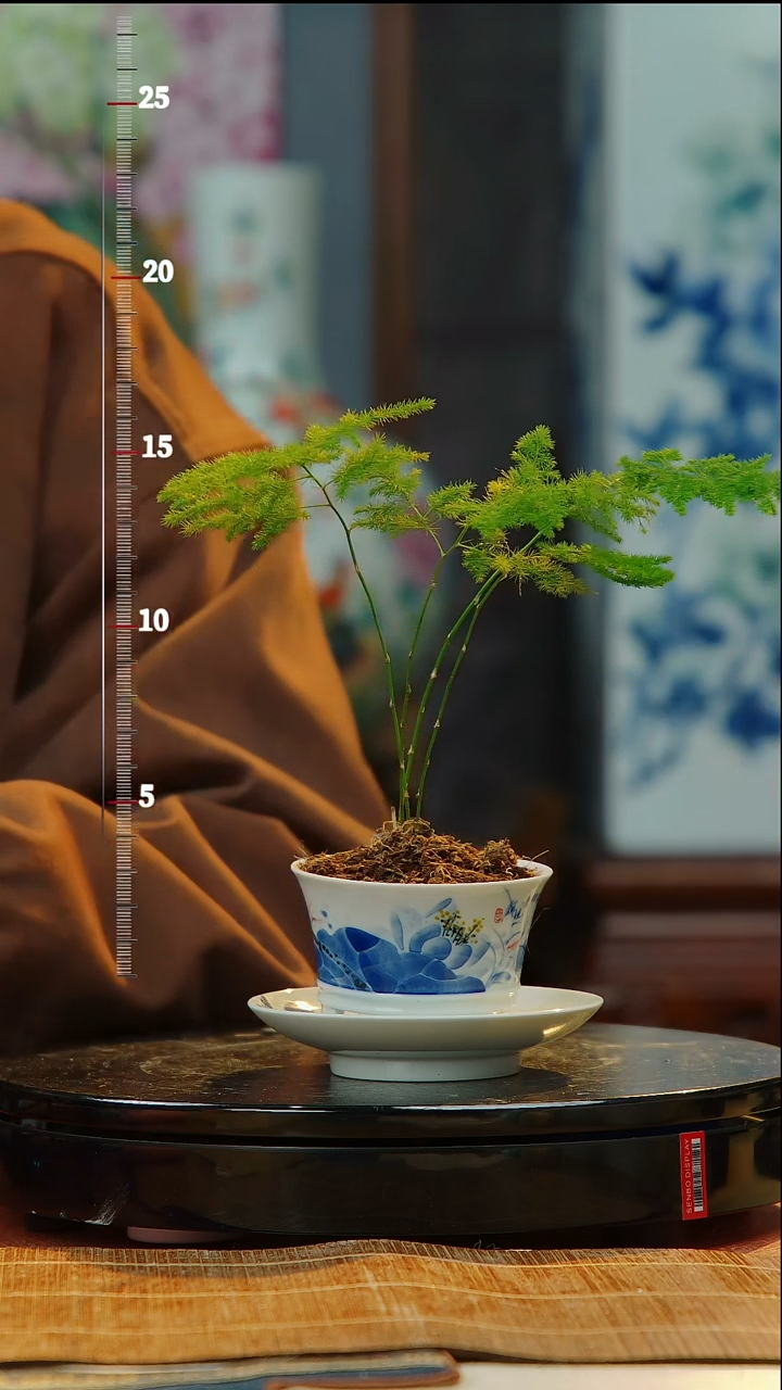 【闪购商品】瓷片景德镇手工手绘陶瓷