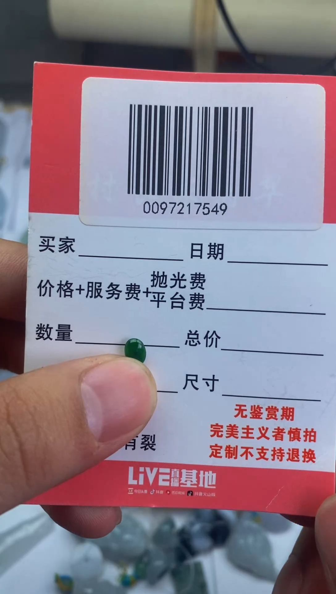 翡翠未镶嵌颈饰0164326413