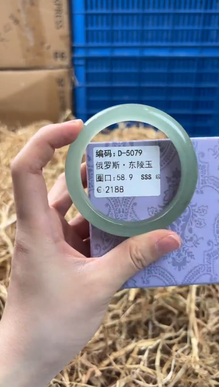 未镶嵌手镯石英质玉D-5079