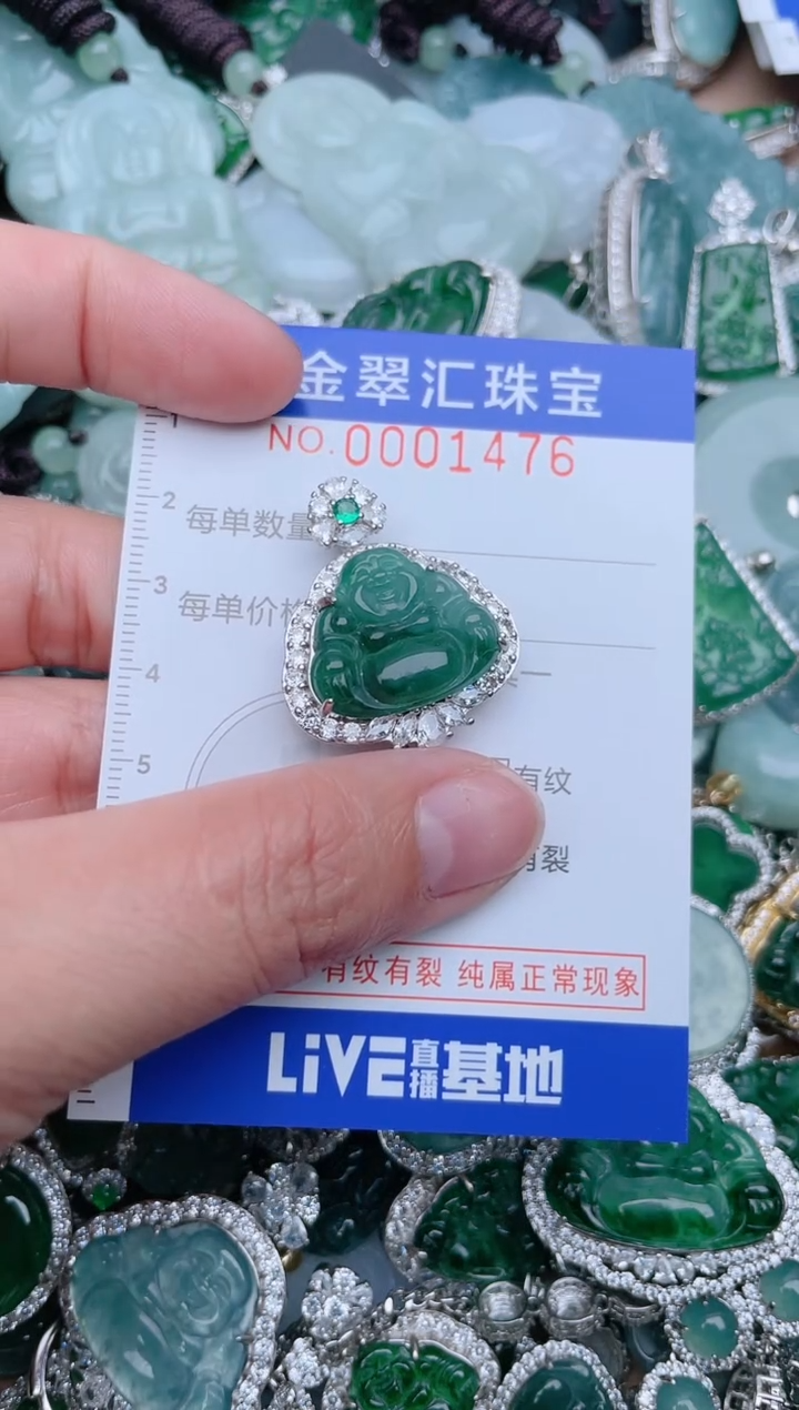 【闪购商品】翡翠颈饰未镶嵌1476........