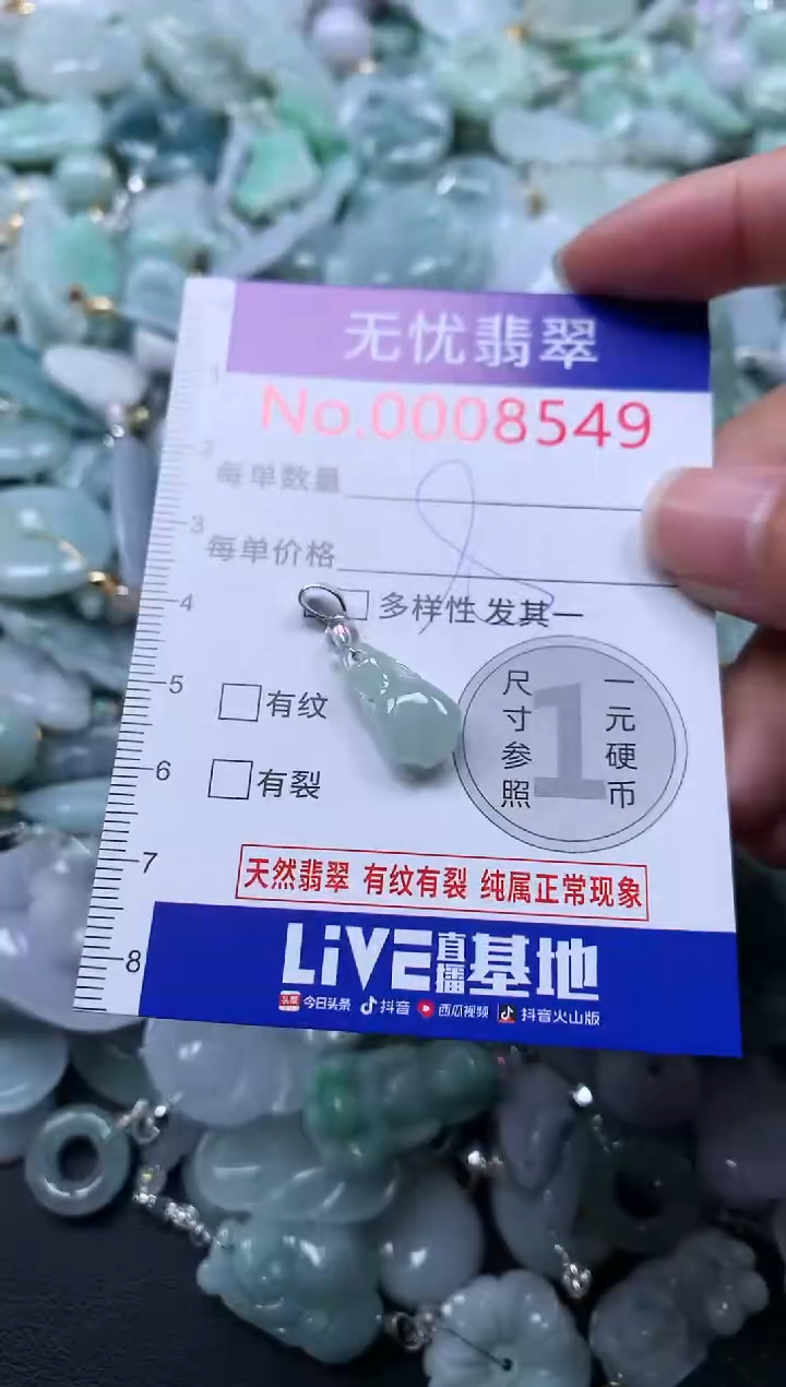 颈饰未镶嵌翡翠8549