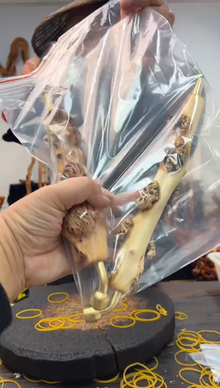 黑果木其他黑果木139