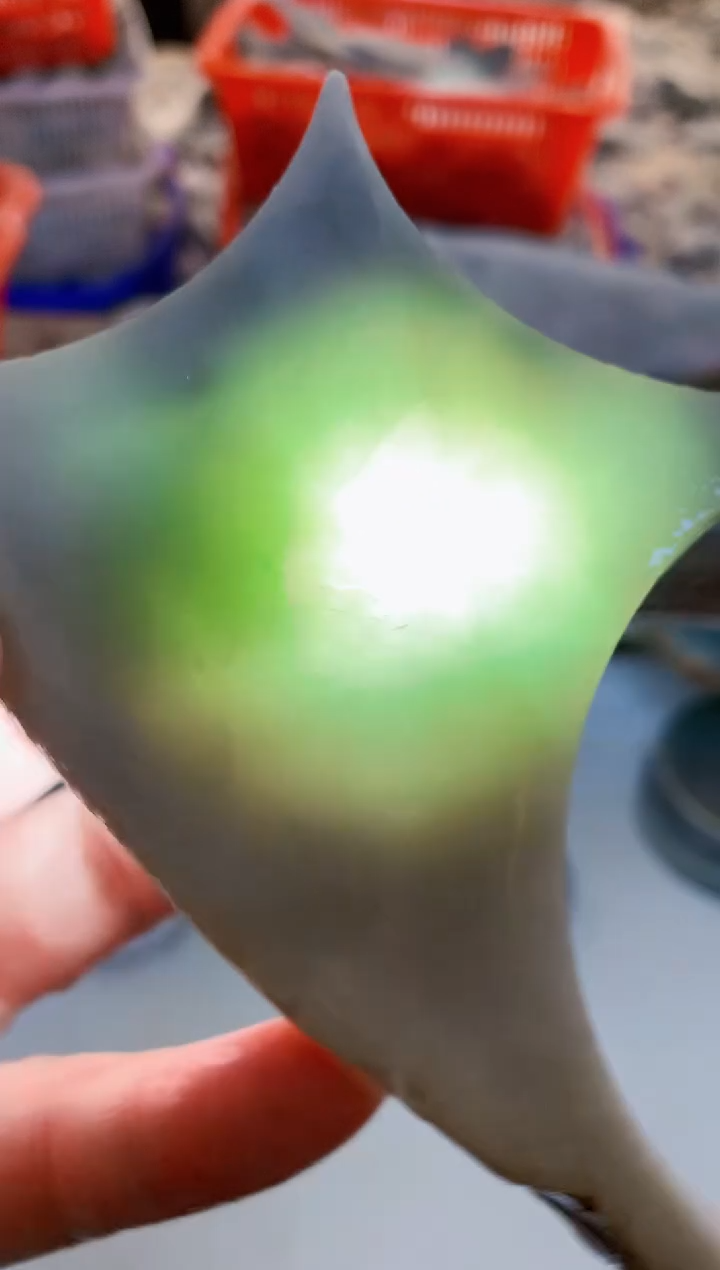 【闪购商品】翡翠颈饰未镶嵌0东0翡翠珠宝75