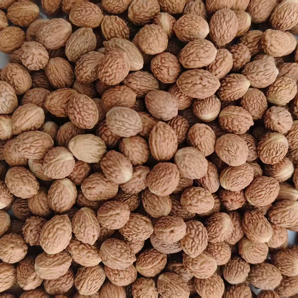 8-酸枣核种子椭圆，以直播间看到实物为准