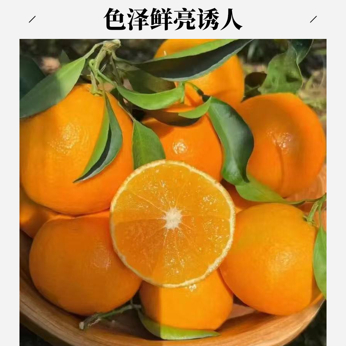 【悦果先生】爱媛38号果冻橙新鲜到货啦！（一斤）同城送，小时达四川省